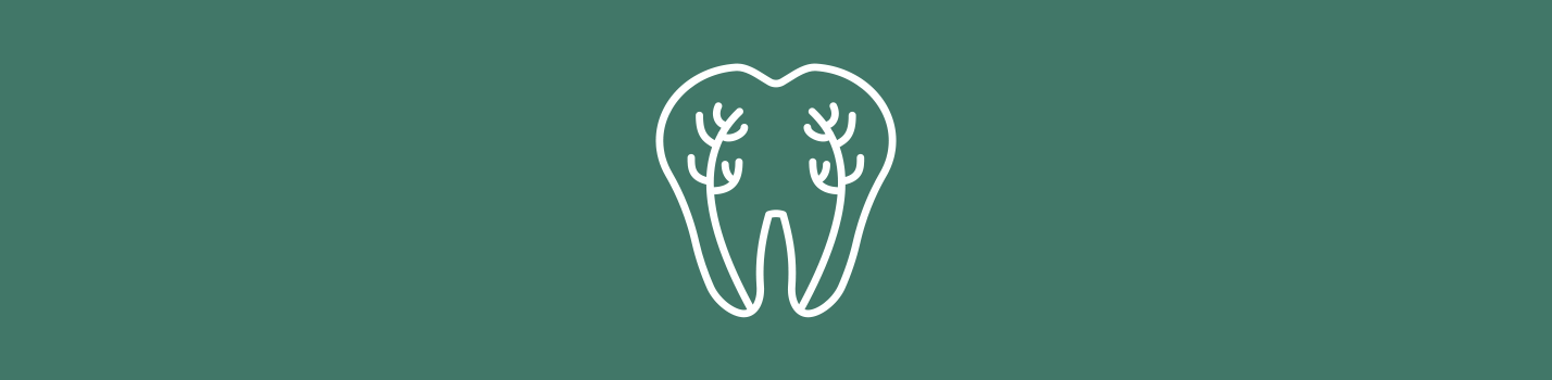 Endodontic Therapy 